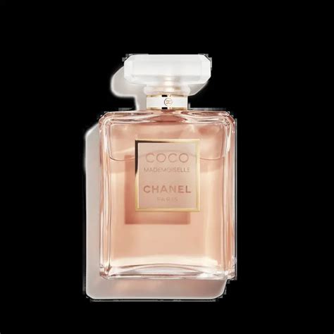 how much does coco chanel cost